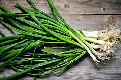 Green onions - calories, kcal