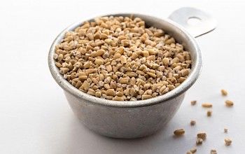 steel cut oats vs oatmeal