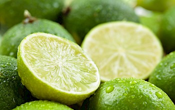 Lime - calories, nutrition, weight