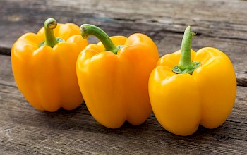 Yellow bell pepper - calories, nutrition, weight