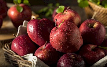 Red delicious apple - calories, nutrition, weight