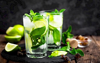 Mojito - calories, nutrition, weight