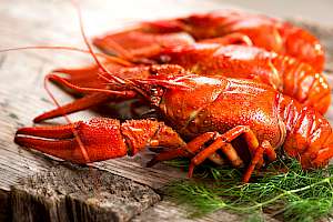 Crayfish - calories, kcal