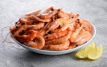 Cooked shrimp - calories, nutrition, weight