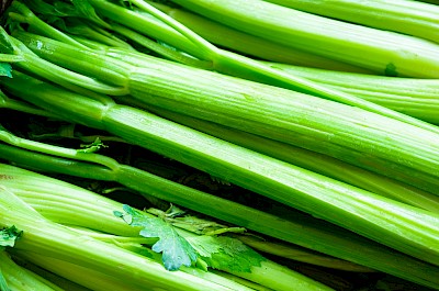 Celery stalk - calories, kcal