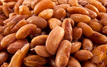 Cooked pinto beans - calories, nutrition, weight