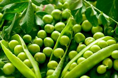 Green peas - calories, kcal