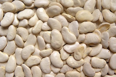 Dried lima beans - calories, kcal