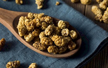 Dried mulberries - calories, nutrition, weight