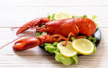 Boiled lobster - calories, nutrition, weight