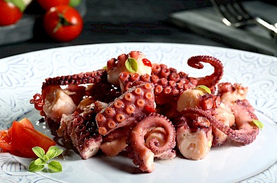 Boiled octopus - calories, kcal