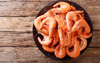 Boiled shrimp - calories, nutrition, weight