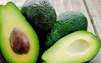 avocado vs jackfruit