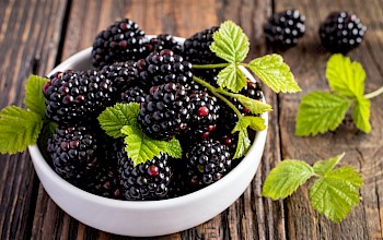 Blackberries - calories, nutrition, weight
