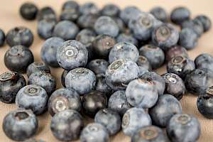 Blueberries - calories, kcal