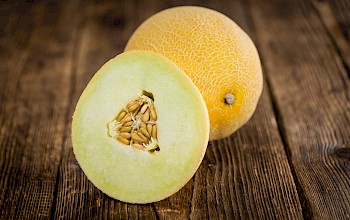 apricot vs melon