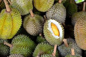 Durian - calories, kcal, weight, nutrition