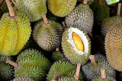 Durian - calories, kcal