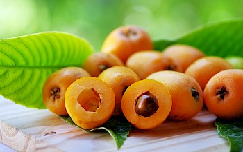 loquat fruit vs persimmon