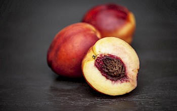 nectarine vs plum