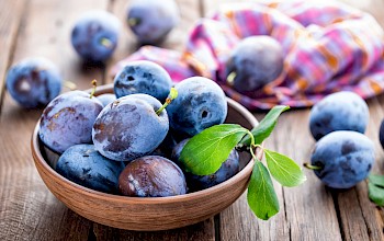 blueberries vs plum
