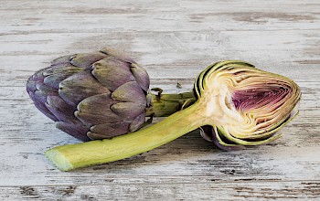 artichoke vs cabbage