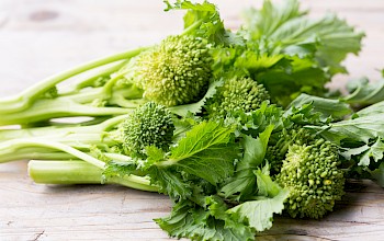 Rapini - calories, nutrition, weight
