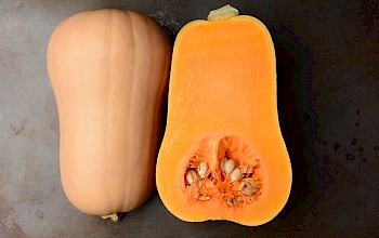 butternut squash vs carrot