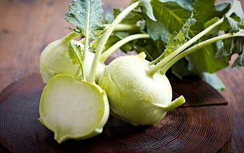 cabbage vs kohlrabi