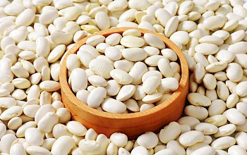 Lima beans - calories, nutrition, weight
