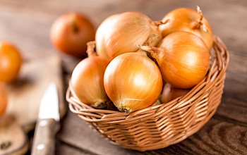onion vs radish