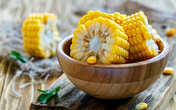 okra vs corn