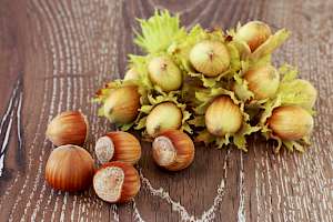 Hazelnuts - calories, kcal