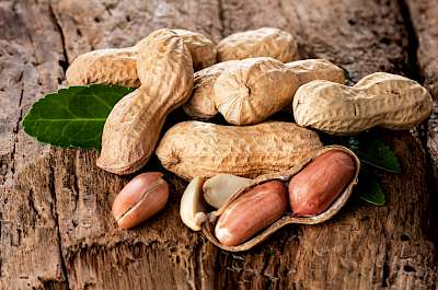 Peanuts - calories, kcal