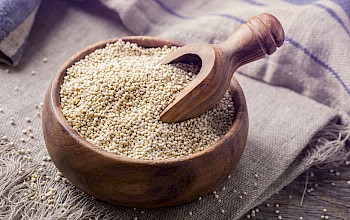 quinoa vs wheat flour