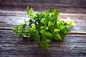 Parsley - calories, kcal, weight, nutrition