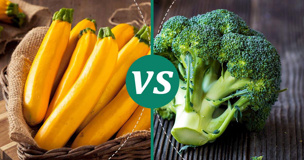 Broccoli vs Yellow Squash Nutrition Showdown