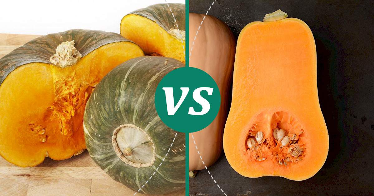 Butternut Squash vs Buttercup Squash: Calories & Nutrition Showdown