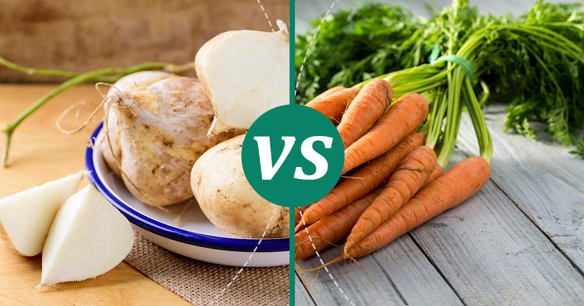 Carrot vs Jicama Choose Wisely