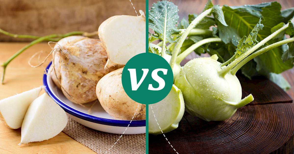 Kohlrabi vs Jicama The Healthier Choice