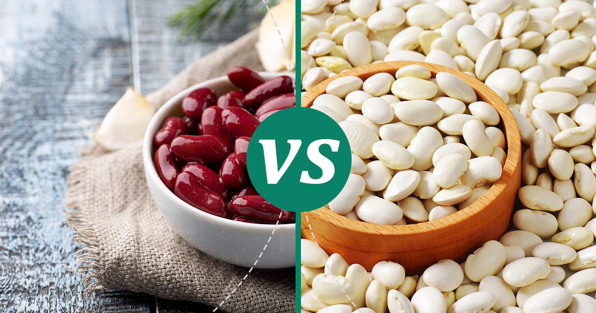 Lima Beans vs Kidney Beans Health Insights