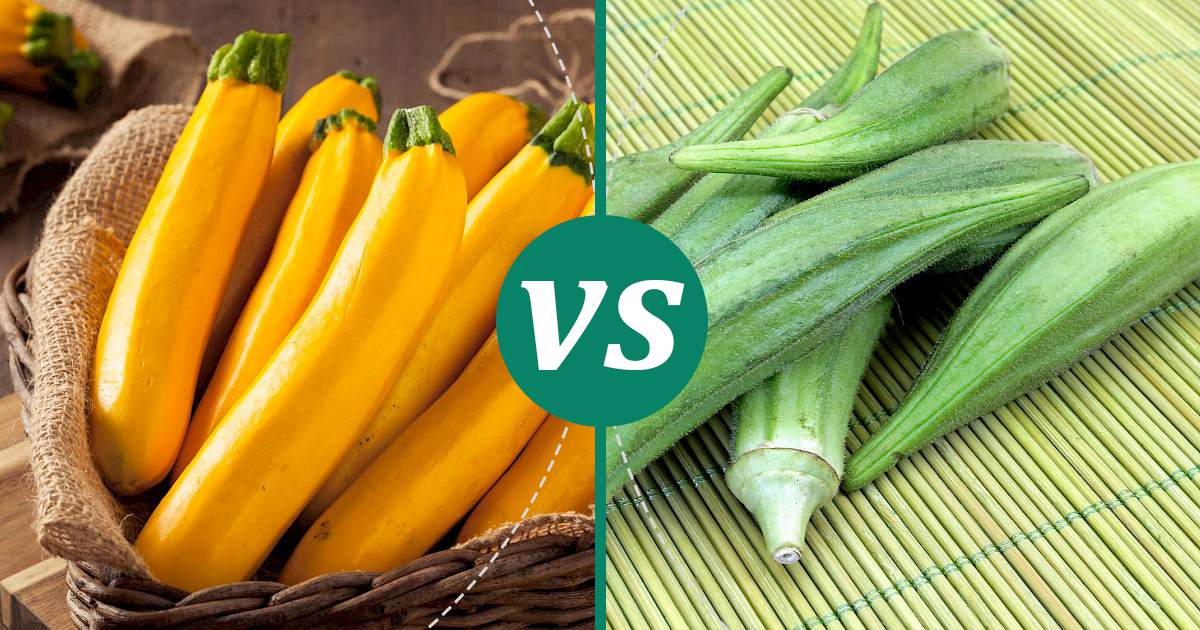 Okra vs Yellow Squash Health Insights