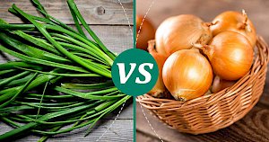 Onion - calories, kcal, weight, nutrition