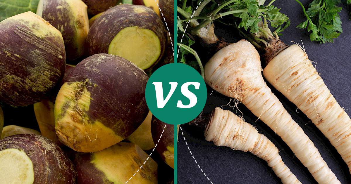 Parsnips vs Rutabaga Nutrition Guide
