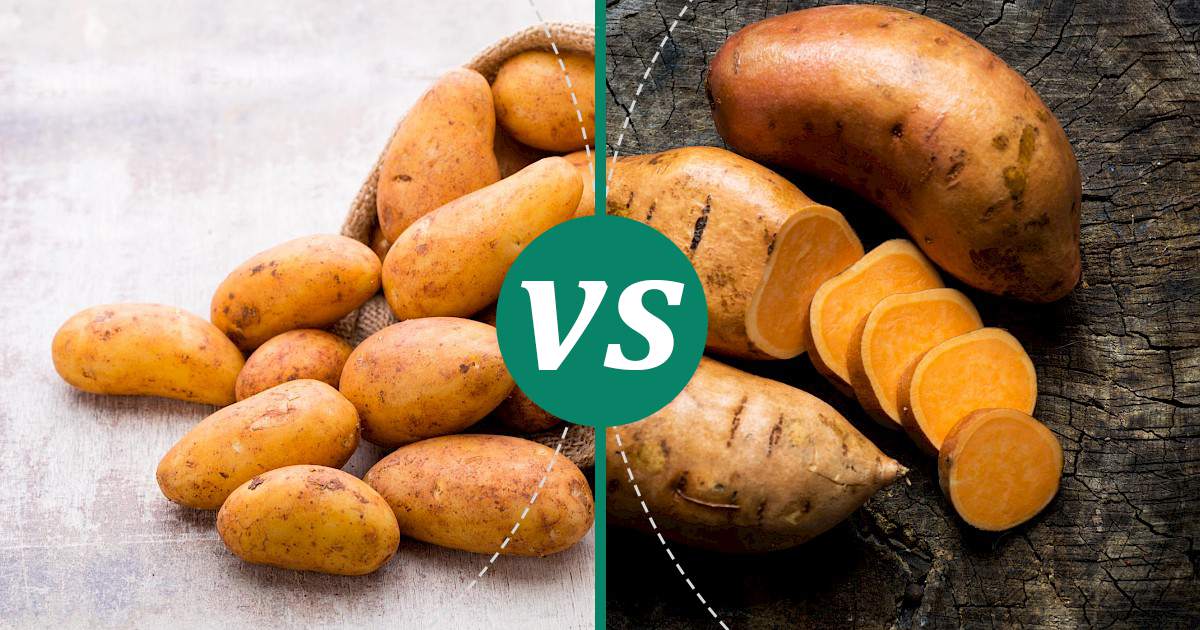 Sweet Potato vs Russet Potato Choose Wisely