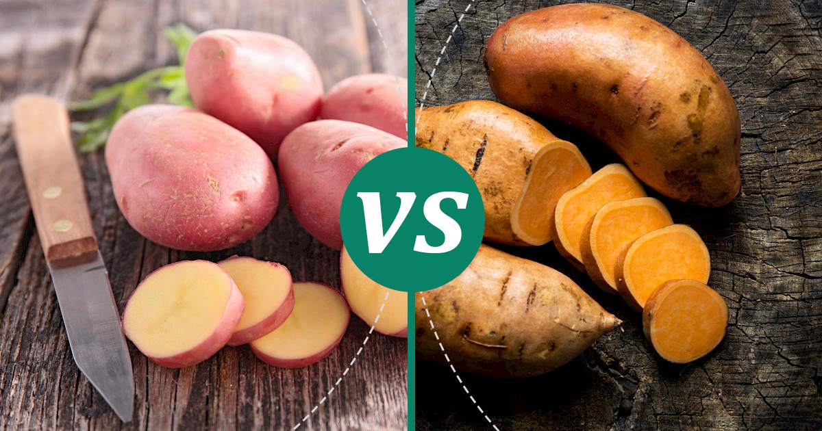 Sweet Potato vs Red Potato The Healthier Choice