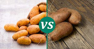 Yam - calories, kcal, weight, nutrition
