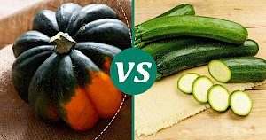 Zucchini - calories, kcal, weight, nutrition