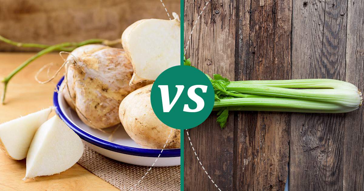 Celery vs Jicama Health Insights