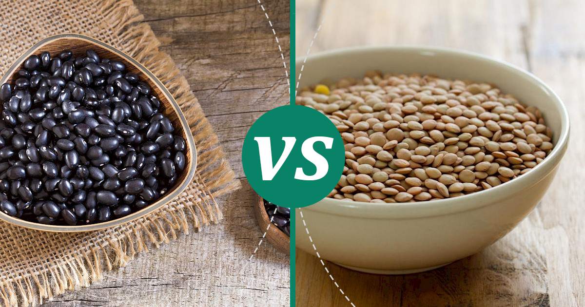 Lentil vs Black Beans Make Healthy Choices